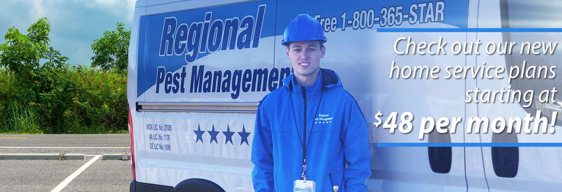 Check out our new home service plans starting at $48 per month!