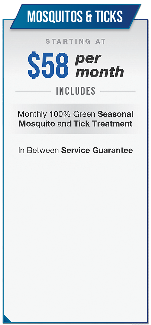 Mosquitos & Ticks Home Service Plan starting at 58 dollars per month